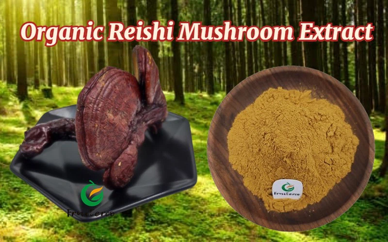 Organic Reishi Mushroom Extract Organic Reishi Mushroom Extract