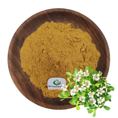 Chiết xuất Bacopa Monnieri