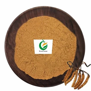 Chiết xuất đông trùng hạ thảo Sinensis