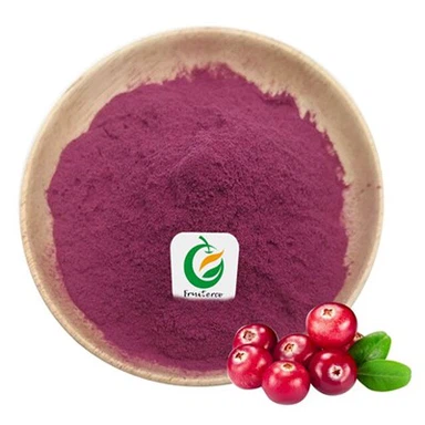 Bột nước trái cây nam việt quất